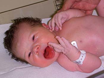Hello, World!