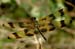 Halloween Pennant
